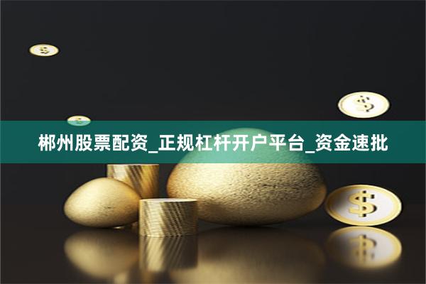 郴州股票配资_正规杠杆开户平台_资金速批